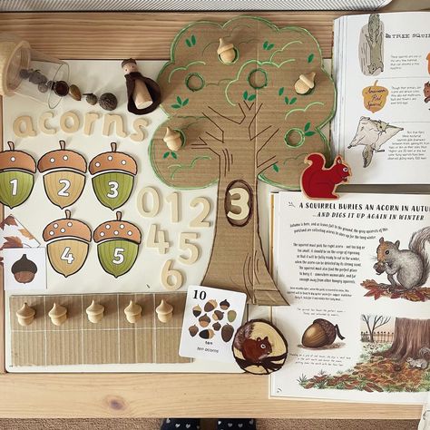 Squirrel Activities, Autumn Homeschool, Sensory Puzzle, Acorn Activities, Squirrel Crafts, Nature Anatomy, Tens Frame, Nature Based Learning, Early Childhood Education Activities