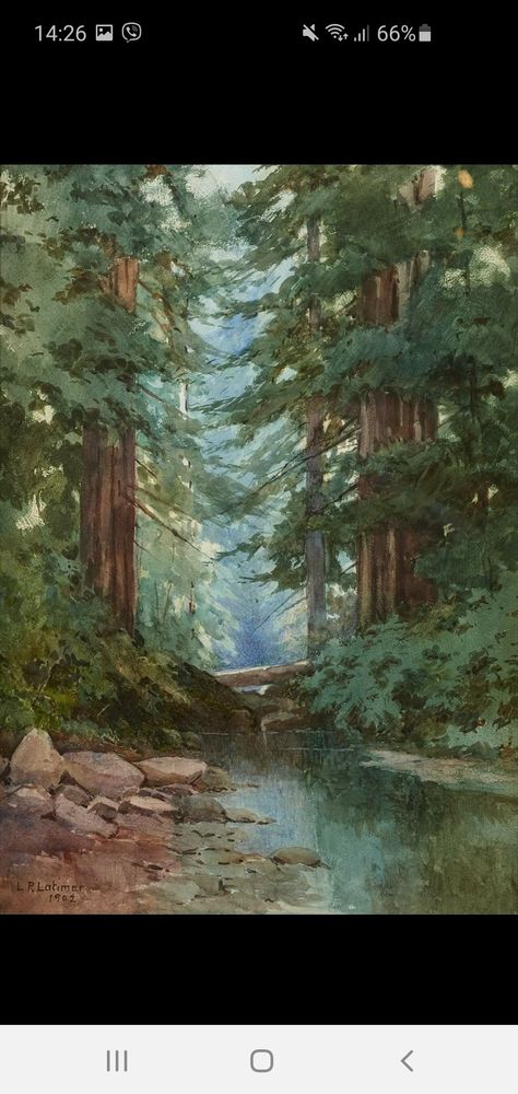 Redwoods Painting, Redwood Painting, Creek Drawing, Watercolor Forest Landscape, Creek Painting, Woods Watercolor, Forest Watercolor, Watercolor Nature, Watercolor Collection