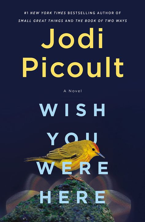 Modern historical fiction Jodi Picoult Books, My Sisters Keeper, Jodi Picoult, D Book, Wish You Were Here, Wish You Are Here, Beach Reading, Random House, Book Release