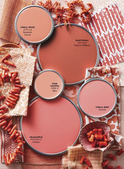 Color Report: Crushing on Coral Coral Wall Paint Bedroom, Sw Coral Paint Colors, Dark Coral Paint Color, Muted Coral Paint, Colors That Go With Coral, Coral Wall Color, Coral Bathroom Ideas, Coral Interior Design, Coral Bedroom Decor