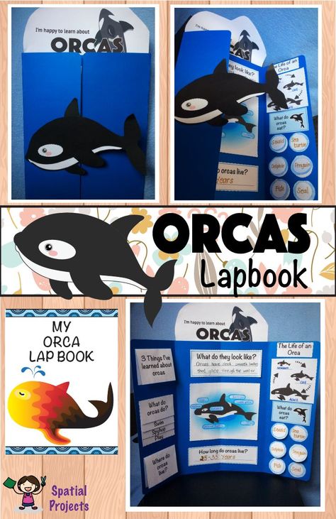 Orca Craft, Arctic Animal Activities, Arctic Animals Activities, Winter Homeschool, Key Graphic, All About Elephants, Ocean Animal Crafts, Writing Story, Farm Animals Activities