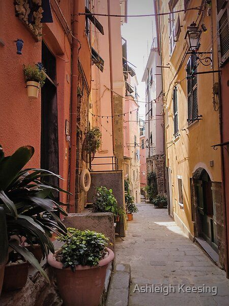 Italian orange houses in an alleyway in Cinque Terre with planters and festoon lights Italian Alleyway, Orange Houses, Liminal Art, Learn Blender, Construction Photography, Festoon Lights, Urban Sketch, Italian Landscape, Orange House