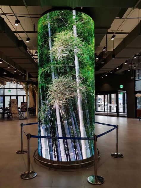 Led Screen Design, Lobby Reception Design, Futuristic Screen Display, Flexible Led Screen, Curved Led Screen Stage Design, Led Display Board, Led Display Screen Digital Signage, Led Display Screen, Event Display