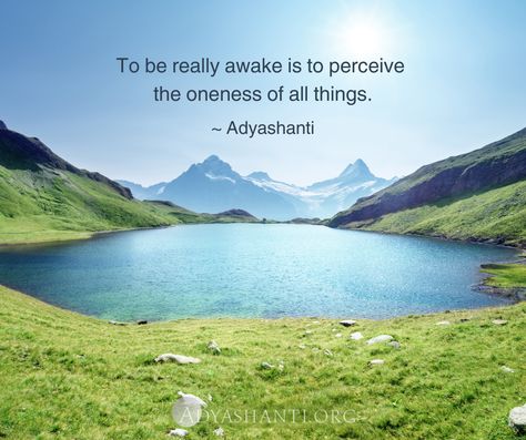 "To be really awake is to perceive the oneness of all things." ~ Adyashanti May 16, 2007  Chasing Enlightenment Acceptance Quotes, Meditation Benefits, Meditation Techniques, Spiritual Enlightenment, Spirituality Energy, Spiritual Awakening, Spiritual Quotes, Meditation, Spirituality