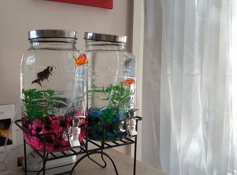 Bata Fish Tank Ideas, Fish Bowl Ideas, Forest Bedroom Ideas, Betta Fish Bowl, Vase Fish Tank, Aquaponics Greenhouse, Aquarium Garden, Fish Tank Terrarium, Diy Fish Tank