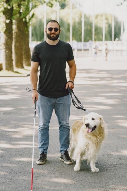 Guide dog helping blind man in the city.... | Free Photo #Freepik #freephoto #city #dog #man #animals Mobility Devices, Aesthetic Pose, Dog Man, Boy Walking, Anime Photo Profile Dark, Dog Poses, City Dog, Guide Dog, Dog Help