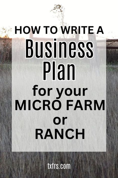 Agriculture Business Plan, Homestead Garden Layout, Write A Business Plan, Micro Farm, Business Plan Example, Agriculture Business, Making A Business Plan, Texas Farm, Farm Plans