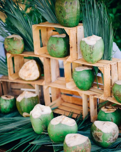 Patagonia Wedding, Coconut Photography, Breakfast Reception, Coconut Wedding, Bali Party, Coconut Shake, Weddings Mexico, Coffee Bar Wedding, Havana Nights Party