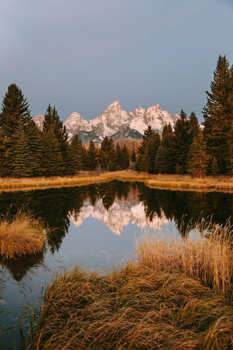 Wyoming Vacation, Theme Nature, Mountain Bride, Jackson Hole Wyoming, Pretty Landscapes, Jackson Hole, Alam Yang Indah, Beautiful Places In The World, Nature Aesthetic