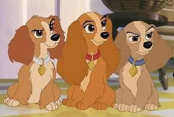 Top 105 Trendy Disney Dog Names for Girl Dogs The Lady And The Tramp, Dog Quiz, Girl Dog Names, Disney Quiz, Disney Wiki, Disney Dogs, Disney Images, Film Disney, Animated Animals