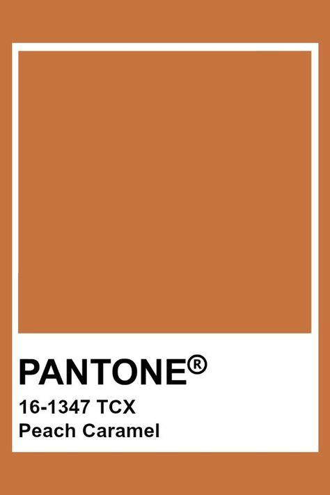 Caramel Colour Aesthetic, Pantone Fall Colors, Caramel Aesthetic Color, Pantone Caramel, Fall Pantone Colors, Autumn Pantone, Caramel Color Palette, Peach Pantone, Cream Pantone