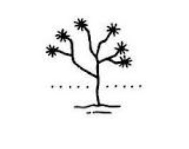 Joshua Tree Tattoo, Tree Tattoo, Tattoo Inspo, Joshua Tree, Tatting, Tattoos, Quick Saves, Art