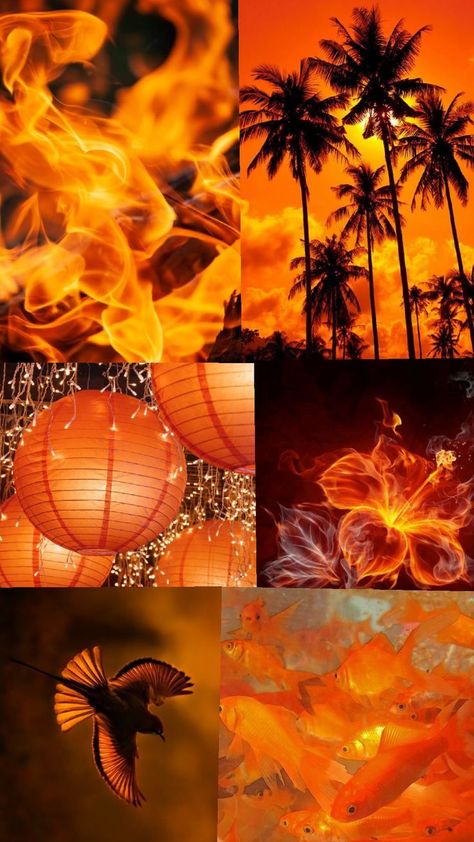 #orange #background Cursed Drawings, Orange Stuff, Pretty Orange, Colouring Pics, Orange Aesthetic, Orange Background, Shades Of Orange, Bright Orange, Me Core