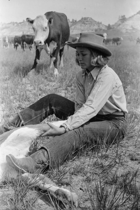 Cheyenne Tv Show, Clint Walker Actor, Cheyenne Bodie, Saddle Tramp, Clint Walker, Cattle Drive, Into The West, Cowboy Girl, Tv Westerns