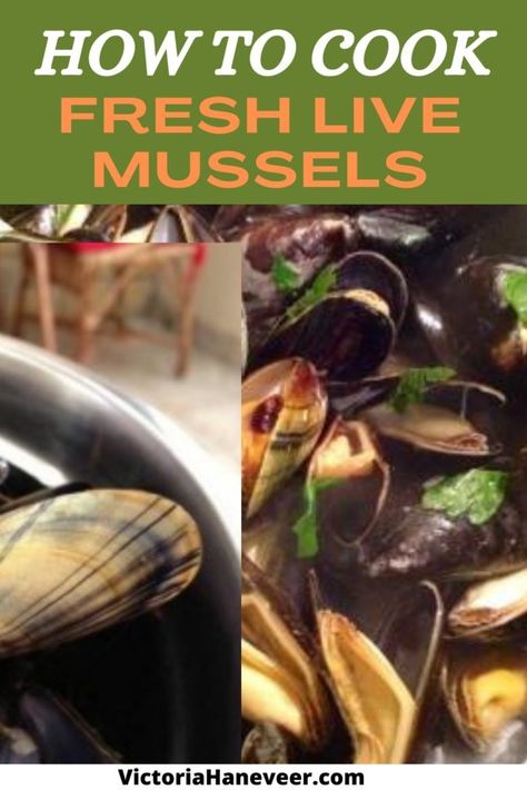 How to Cook Fresh Mussels | How Do You Cook Live Mussels How To Clean Mussels, Easy Mussels Recipe, Cooking Mussels, How To Cook Liver, Steamed Mussels, Fresh Eats, Mussels Recipe, Clam Recipes, Shellfish Recipes