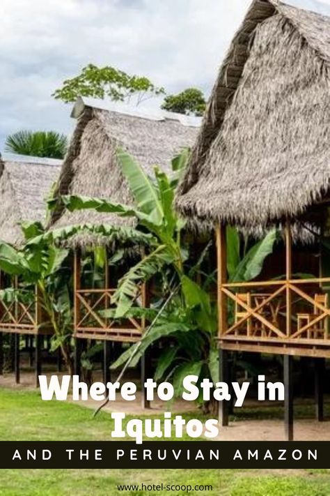 For adventurous travelers who fly to Iquitos, Peru – jungle gateway to the Peruvian Amazon Peru Jungle, Iquitos Peru, Jungle Lodge, Peruvian Amazon, Peru Travel, Amazon Rainforest, River Cruises, Group Tours, Photo Reference