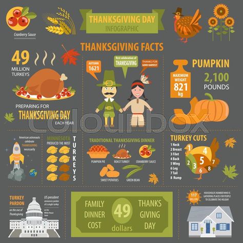 Stock vector of 'Thanksgiving day, interesting facts in infographic. Graphic template. Vector illustration' Thanksgiving Facts History, Thanksgiving Infographic, Sweet Potato Green Beans, Traditional Thanksgiving Dinner, Holiday Facts, Thanksgiving History, Thanksgiving Facts, Thanksgiving Images, Graphic Template