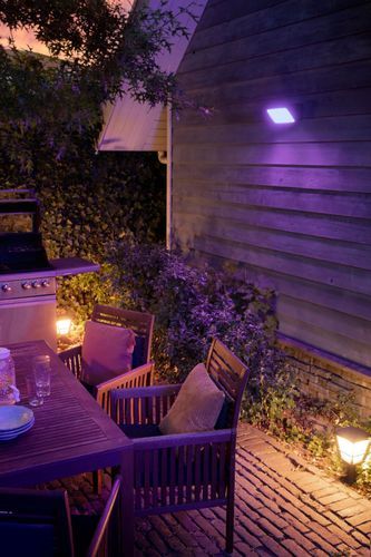 Yard Crashers, Philips Hue Lights, Hue Lights, Lighting Tips, Black Garden, Large Yard, Exterior Wall Light, Philips Hue, Deck Lighting