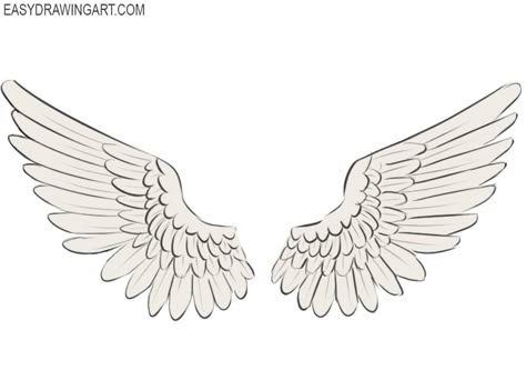 How to Draw Wings | Easy Drawing Art Drawings Of Wings Angels, Drawing Wings Angel, Cute Angel Wings Drawing, Angel Wing Art Reference, Folded Angel Wings Drawing Reference, Cartoon Wings Drawing, Wings Reference Drawing Angel, Angelic Wings Drawing, Angel Ideas Drawing