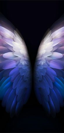 Download Samsung Galaxy W20 5G Wallpapers [FHD+] (Official) Samsung Dark Wallpaper, Official Wallpaper, Wallpaper Butterfly, Kristina Webb, Ultra Hd 4k Wallpaper, Wings Wallpaper, Oneplus Wallpapers, Wallpaper Samsung, Butterfly Wallpaper Backgrounds