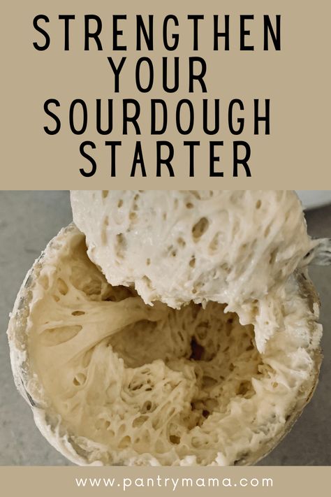 Best Sourdough Starter Recipe, Dough Starter Recipe, Recipe Using Sourdough Starter, Making Sourdough Bread, Sourdough Bread Starter, Dough Starter, Sourdough Starter Discard Recipe, Homemade Sourdough Bread, Bread Starter