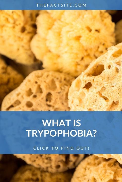 Phobia Of Holes, Holes In Skin Phobia, Trypophobia Skin, Bubbly Chocolate, Insect Eyes, Body Facts, Circle Patterns, Exposure Therapy, Psychological Science