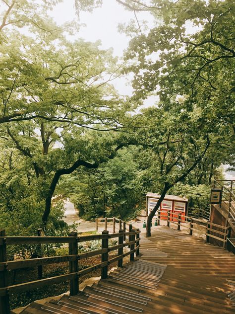 Kdrama Green Aesthetic, Korea Nature Photography, Korea Green Aesthetic, Korea Nature Aesthetic, Green Aesthetic Outside, Green Outdoor Aesthetic, Green Place Aesthetic, Green City Aesthetic, Green Aesthetic Travel