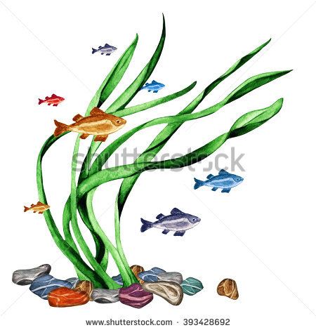 Sea Grass Underwater Stock Photos, Royalty-Free Images & Vectors ... Underwater Grass Drawing, Sea Grass Drawing, Coral Reef Drawing, Starfish Drawing, Underwater Tattoo, Underwater Drawing, Grass Clipart, Underwater Flowers, Grass Drawing