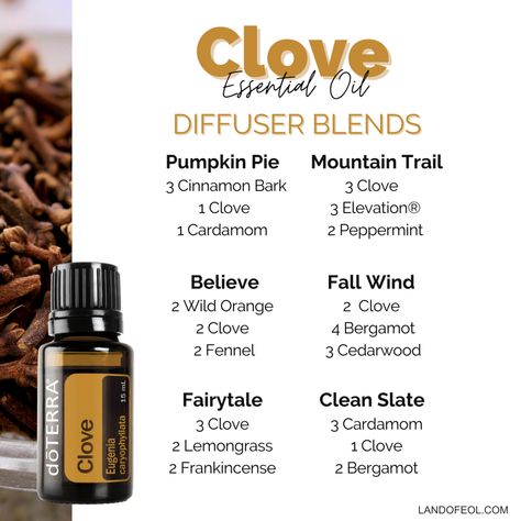 Clove Diffuser Blends Doterra, Clove Incense Meaning, Clove Essential Oil Blends, Vanilla Clove Essential Oil Blend, Clove Essential Oil Benefits, Fall Essential Oil Blends, Fall Diffuser Blends, Clove Essential Oil, Doterra Diffuser Blends