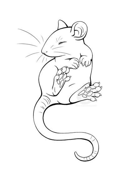 Rat Tat by Kiiro-chan on DeviantArt Rat Tails, Rat Tattoo, Rat Art, Tier Tattoo, Art 2023, Mouse Drawing, Cute Rats, Pet Rats, Flash Art