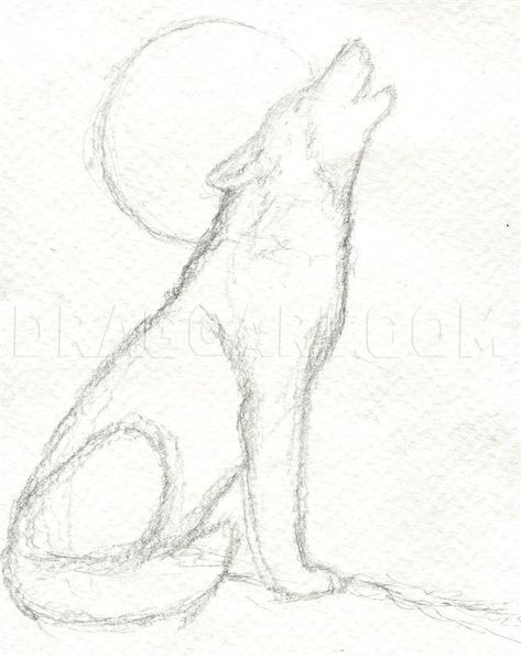 How To Draw A Howling Wolf, Step by Step, Drawing Guide, by finalprodigy | dragoart.com Werewolf Drawing, Drawing Guide, Wolf Drawing, Drawing Faces, Howling Wolf, Easy Drawings Sketches, Wolf Howling, Pencil Art Drawings, A Wolf