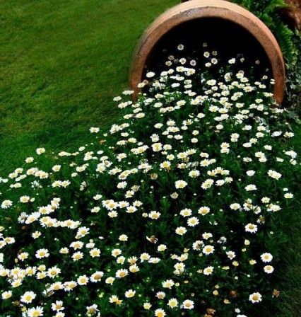 Turn a halved pot on its side next to some low-lying blooms to add whimsey to your garden. Backyard Garden Landscape, Garden Containers, Backyard Garden Design, The Secret Garden, Green Grass, Garden Yard, Dream Garden, Garden And Yard, Outdoor Ideas