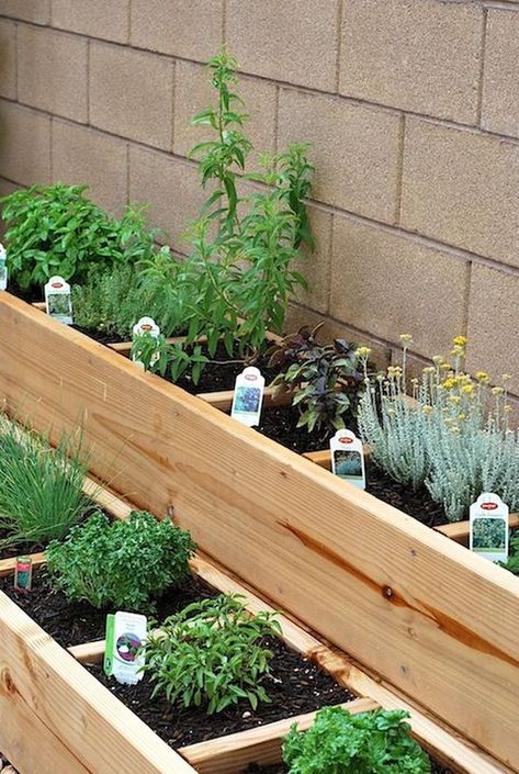 Beautiful DIY ideas for planting your own herbs in your garden or backyard | My desired home Raised Bed Herb Garden, Small Patio Garden, Herb Garden Design, Budget Garden, Plants Growing, Backyard Vegetable Gardens, Square Foot Gardening, Have Inspiration, The Secret Garden