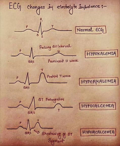 Mbbs Motivation, Being Doctor, Med School Notes, Learn Biology, Medical Memes, Doctor Quotes, Health Notes, Nurse Study, Medical Quotes