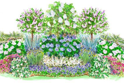 Garden Plan Hydrangea, Part Sun Cottage Garden, Front Shade Garden, Perrenial Shade Garden Plans, Hydrangea Garden Plan, Front Garden Hydrangea, Simple Shade Garden, Privacy Garden Plan, Perennial Shade Garden Layout