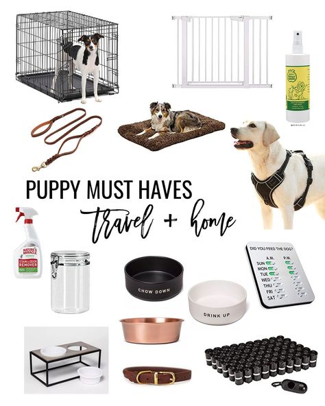 goldendoodle must haves – what you need for your doodle puppy puppy must haves Dog Products Must Have, Puppy Must Haves, Dog Essentials Products, Puppy Goldendoodle, Puppy Needs, Puppy Things, Puppy List, New Puppy Checklist, Puppy Checklist