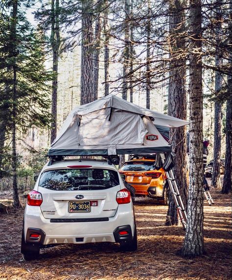 Cross Trek Subaru, Subaru Crosstrek Aesthetic, Subaru Crosstrek Camping, Subaru Accent, Crosstrek Mods, Camper Van Life, Camping Must Haves, Adventure Car, Camping Shelters