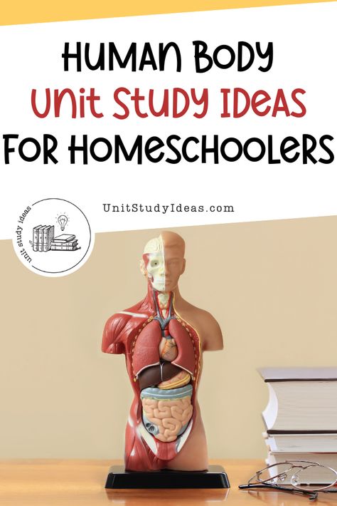 Human Body Unit Study Ideas for Homeschoolers - Unit Study Ideas Human Anatomy Homeschool, Homeschool Human Body Unit, Human Body Unit Study Elementary, Human Body Homeschool, Human Body Lesson, Human Body Unit Study, Unit Study Ideas, Science Unit Studies, Unit Studies Homeschool