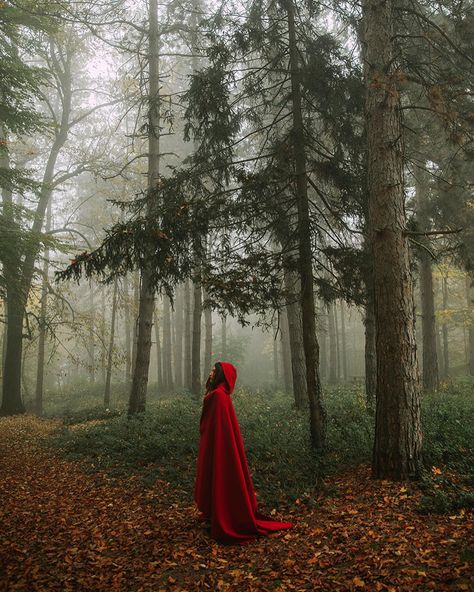 Portfolio - Jovana Rikalo - Professional photographer - Fine Art and Portrait Red Riding Hood Photography, Red Cloak, Halloween Photography, Christmas Shoot, Red Cape, Fantasy Forest, Fine Art Portraits, Forest Photography, Beautiful Dark Art