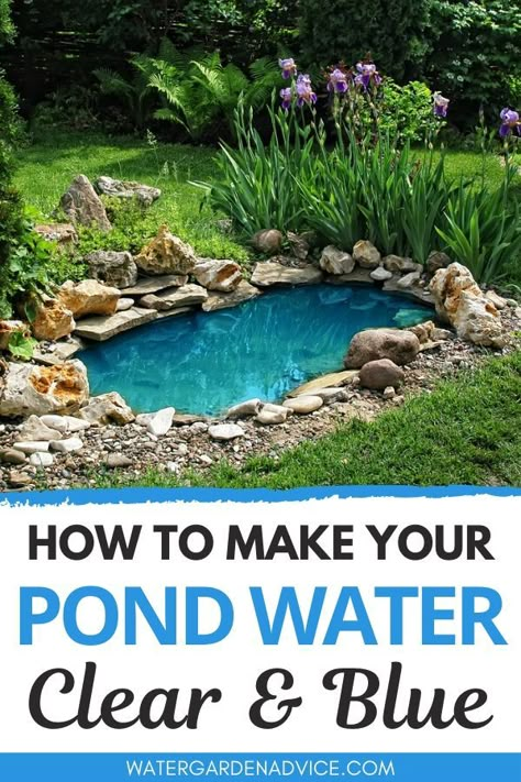 Blue pond water is something that all pond owners dream of. Here's how to make your backyard pond water clear and blue. #pond #backyardpond #gardenpond Water Feature Pond Ideas, Small Backyard Fish Pond Ideas, Small Backyard Fountain, Diy Outdoor Pond With Waterfall, Outside Pond Ideas, How To Make A Fish Pond, Landscape Around Pond, Small Pond Waterfall Ideas Diy, Small Yard Ponds Ideas