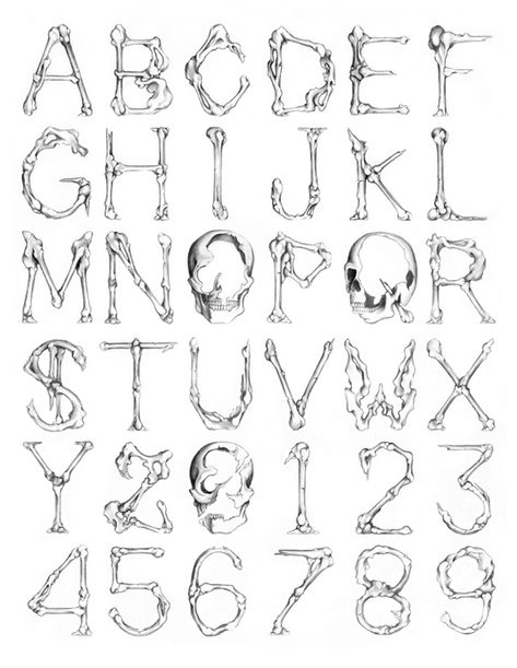 CUSTOM LETTERS, BEST OF 2012 �— LetterCult Bone Font Alphabet, Bone Font Lettering, D Fonts Letter, Bones Alphabet, Bone Lettering, Skull Lettering, Bone Alphabet, Bone Font, Halloween Fonts Alphabet