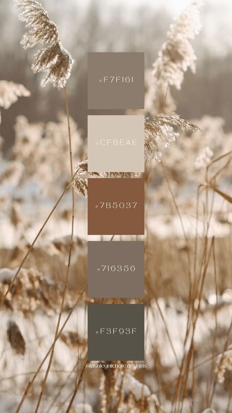 Blue And Green Earth Tones, Earth Color Palette Living Rooms, Earth Colour Palette Nature, Neutral Green Color Palette Hex Codes, Earth Tones Color Scheme, Colour Palette Neutral Earth Tones, Brand Color Palette Earth Tones, Green Brown Color Palette Earth Tones, Earth Neutral Color Palette