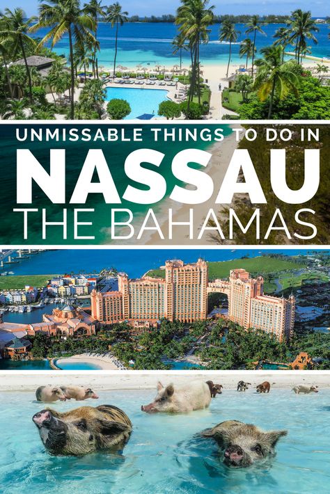 Map Of Nassau Bahamas, Straw Market Nassau Bahamas, Bahamas Paradise Island, Best Excursions In Nassau Bahamas, Atlantis Nassau Bahamas, What To Do In Nassau Bahamas, Things To Do In Nassau Bahamas, Nassau Bahamas Things To Do, Nassau Bahamas Cruise Port