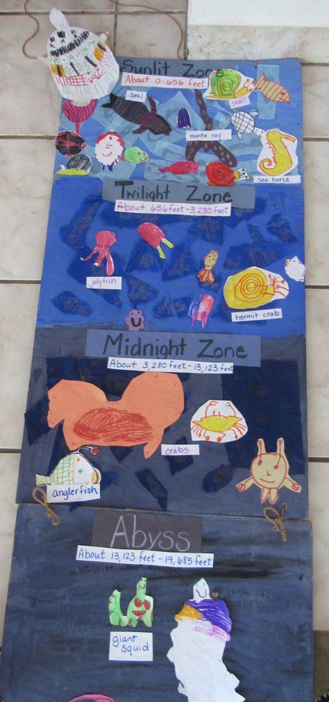 Ocean Layers, Marine Biology Crafts, Ocean Projects For Kids, Ocean Animal Activities, 3rd Grade Ocean Projects, Layers Of The Ocean Activities For Kids, Under The Sea Ks1, Ocean Zones Craft, Ocean Habitat Activities