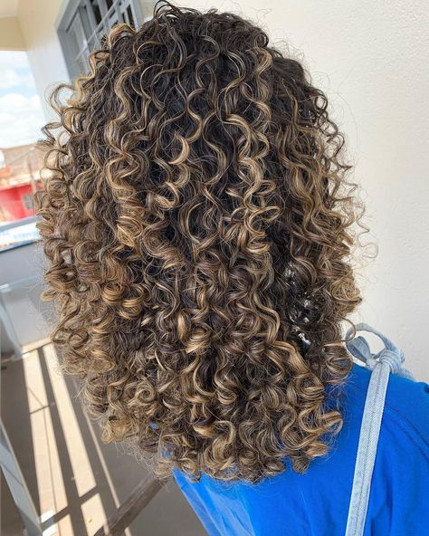 Curly Highlights Light Brown, Bolyoge Hair Balayage Curly, Curly Hair Light Brown Balayage, Dark Brown To Blonde Balayage Curly Hair, Curly Hair Dye Ideas Brown Skin, Honey Toned Highlights, Blonde Hairlights Curly Hair, Curly Hair 3b/3c Highlights, Black Brown Hair With Blonde Highlights