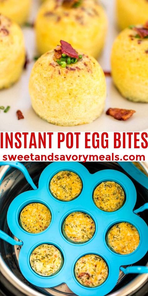 Eggbites Breakfast, Egg Bites Easy, Pressure Cooker Eggs, Instant Pot Egg Bites, Instant Pot Dinner, Starbucks Egg Bites, Egg Bites Recipe, Savory Meals, Best Instant Pot Recipe