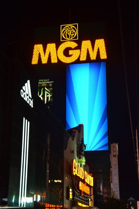 MGM Grand Las Vegas Las Vegas At Night, Vegas At Night, Mgm Las Vegas, Mgm Grand Las Vegas, Mgm Grand, At Night, Broadway Shows, Las Vegas, Places To Visit