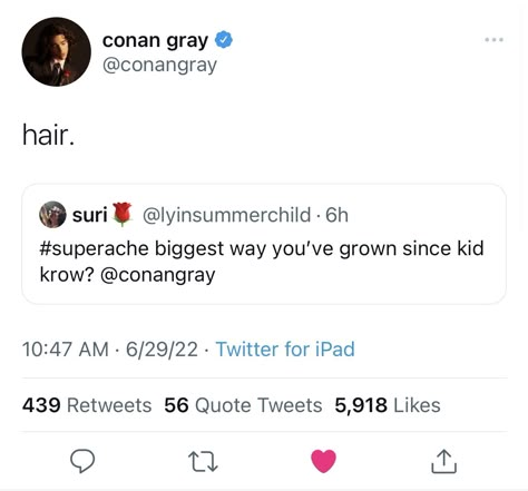 Kid Krow, Conan Gray Tattoo Ideas, Conan Gray Twitter, Conan Gray Funny, Conan Gray Tweets, Conan Gray Tweets Funny, Family Lines Conan Gray, Movies Lyrics Conan Gray, Music Aesthetic Conan Gray