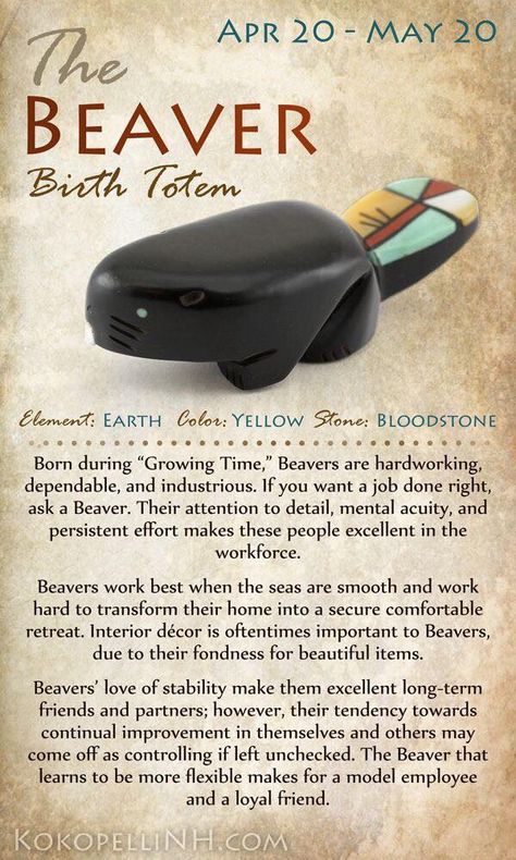 Beaver birth totem Native American Birth Totem, Beaver Totem, Birth Totem, Arte Haida, Native American Zodiac, Native American Animals, Totem Animals, Native American Totem, Busy Beaver