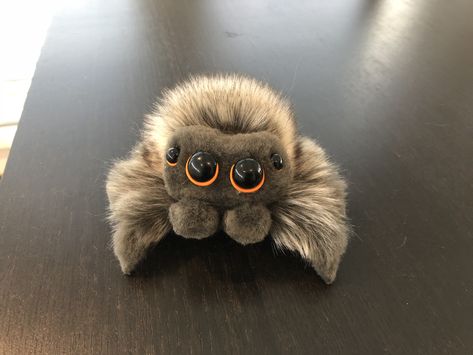 Jumping Spider Plush, Fluffy Spider, Cute Jumping Spider, Lucas The Spider, Zombie Drawings, Cute Spider, Pet Spider, Kawaii Pastel Goth, Jumping Spider